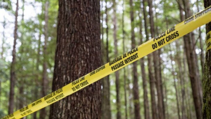 The Suffolk Strangler