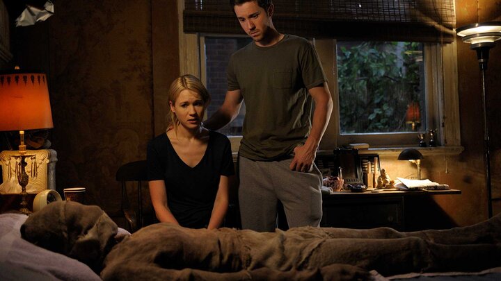 It's a Shame About Ray