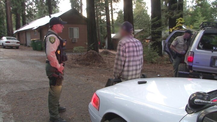 Child Predator Released