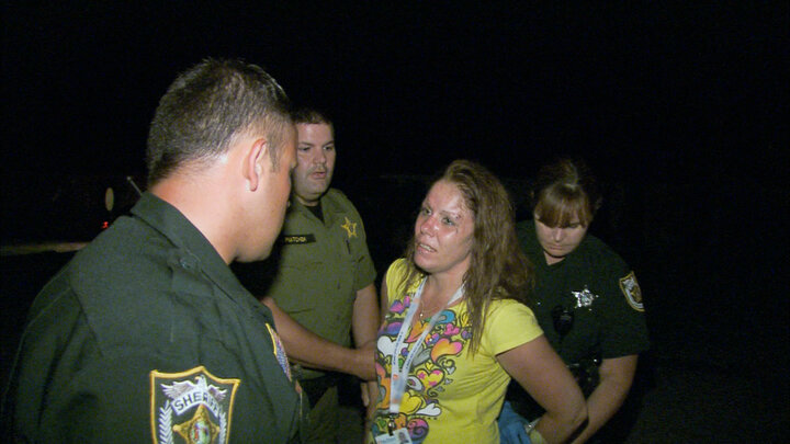 Picture Perfect Pursuit