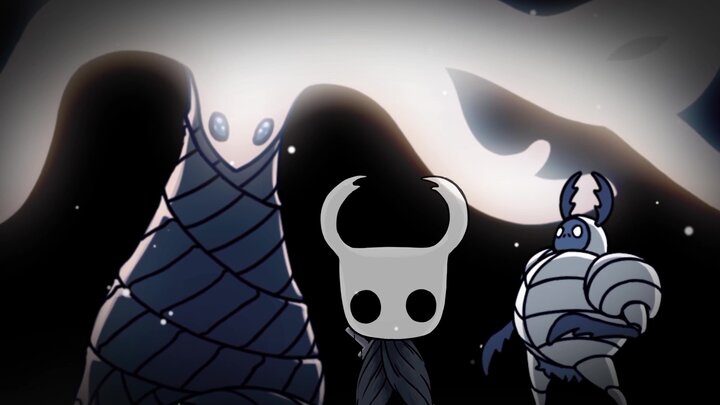 The Secret Identity of Hollow Knights Hero