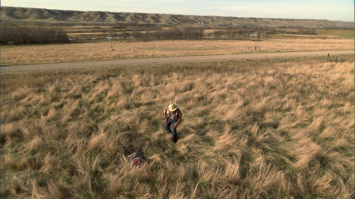 The Kid with the Hollywood Haircut