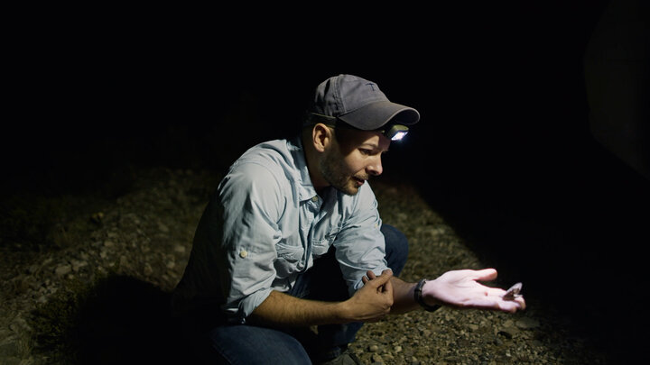 Insect Extermination