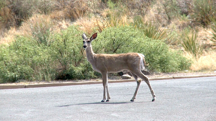 America's National Parks
