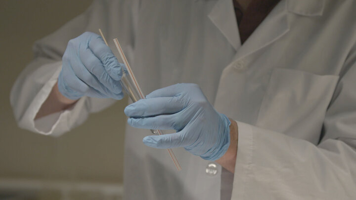 Sex, Lies, And Murder