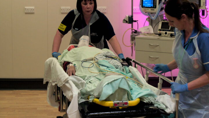 Multiple Stab Wounds