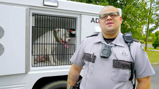 It's a Zoo Out There