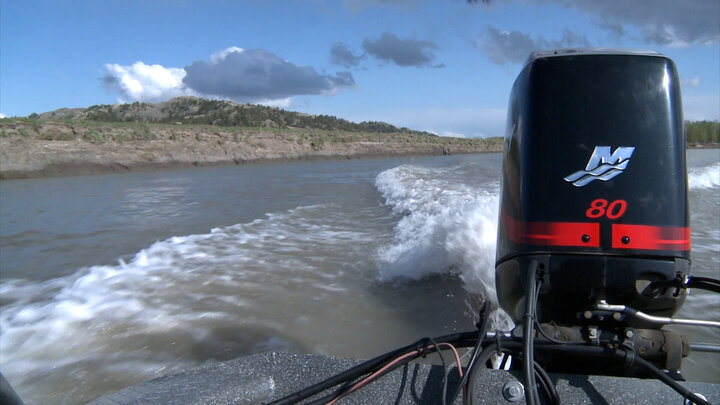 Operation Paddlefish