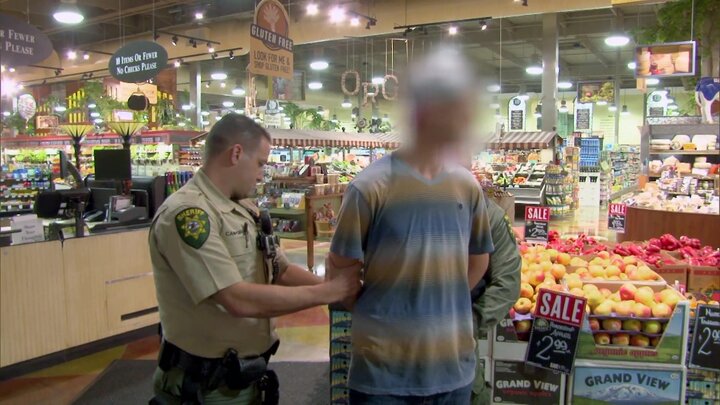 You Can't Fix Stupid