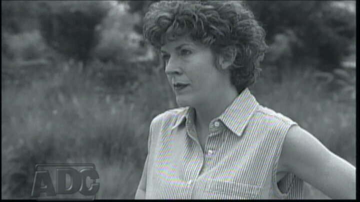 Courageous Crime-Fighting