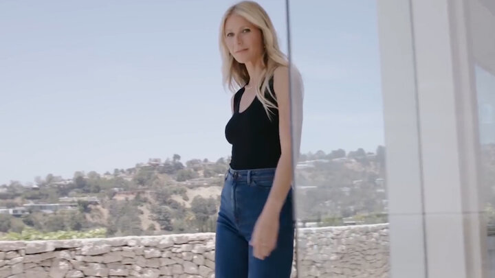Gwyneth Paltrow From Movie Star to Health Guru