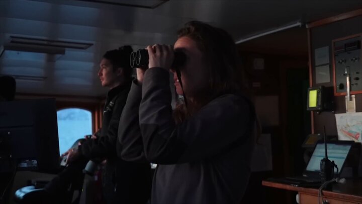 Swimming with Wild Orcas in Norway