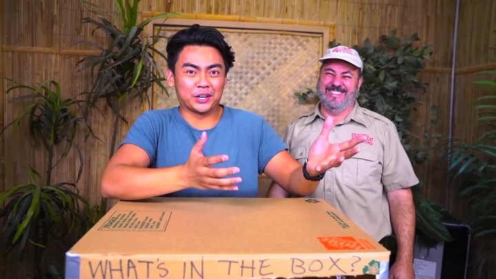 Life Simulator / Whats in the Box Challenge