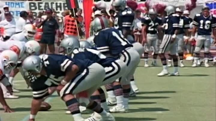 Land of the Free (Agent)