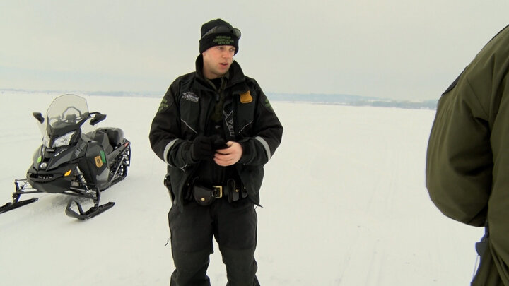 Mutilated Fish and Classroom Salmon