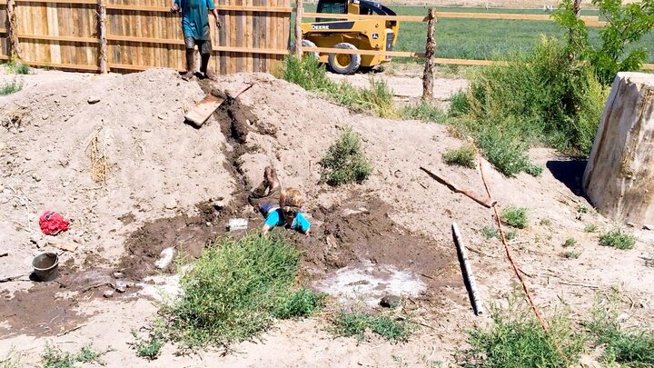 Little Singers, Club Swingers and Verbal Stingers