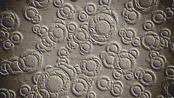 Secrets And Magic Of Alternative Medicine