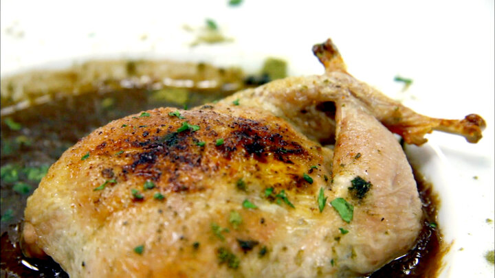 Gumbo Wars New Orleans