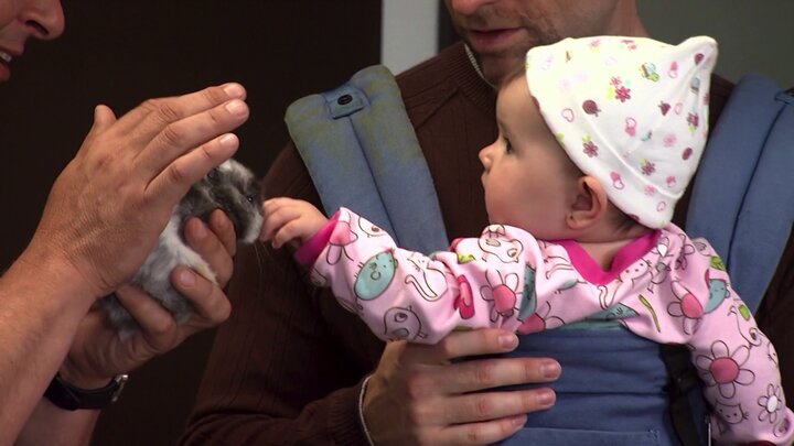 Rottweiler in the ER