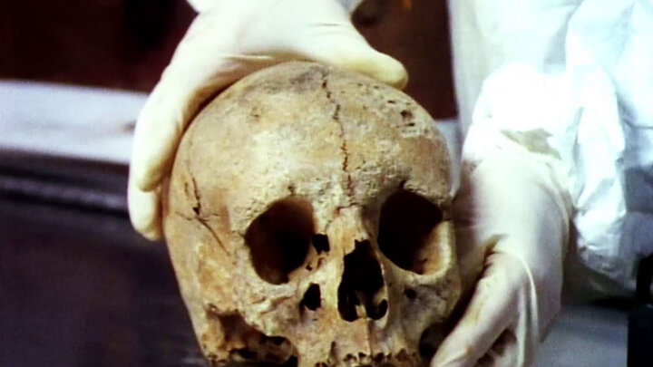 College Student Murders