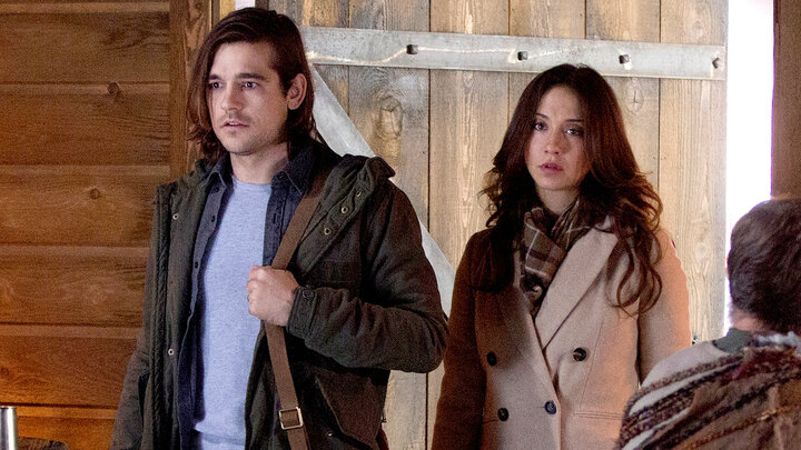 Have You Brought Me Little Cakes?