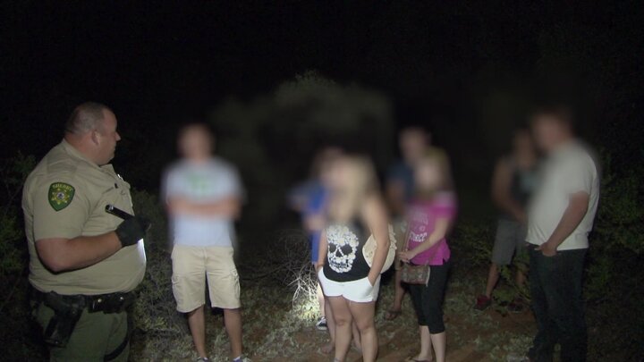 Smile, You're on My Surveillance System!