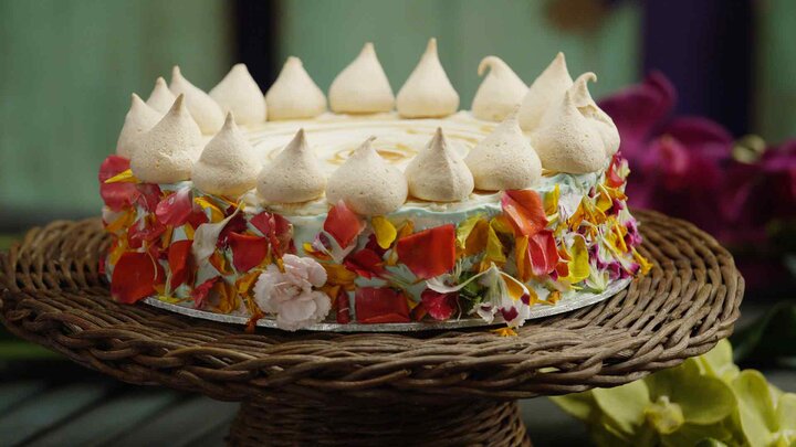 TROPICAL ISLAND CAKES