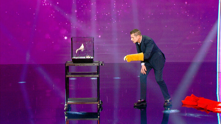 Impressions, Birdmen and the Magic Mirror